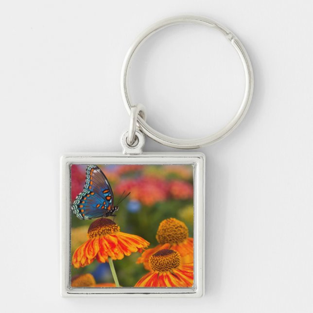 A Spicebush Swallowtail, Papilio troilus Key Ring (Front)