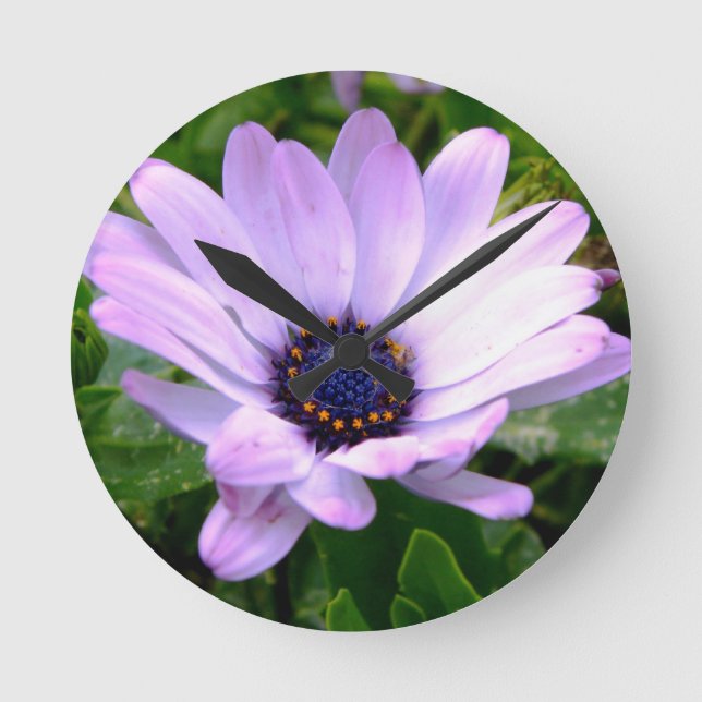 A Spiders Centre Round Clock (Front)