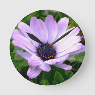 A Spiders Centre Round Clock