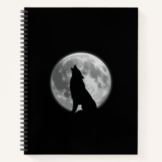 A Spiral Notebook for Dreamers.