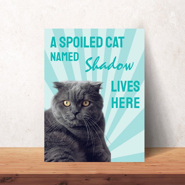 A Spoiled Cat Lives Here Custom Cat Poster (A Spoiled Cat Lives Here Custom Cat Poster)
