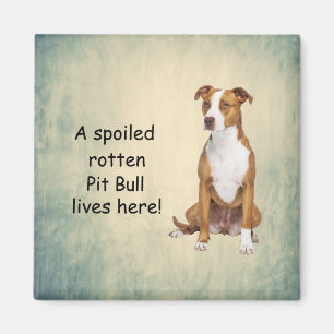 A Spoiled Rotten Pit Bull Lives here Magnet