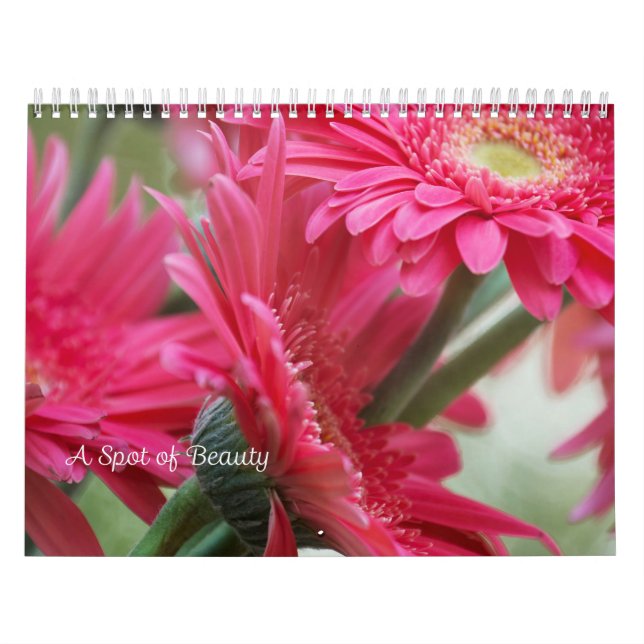 A Spot of Beauty Calendar (Cover)