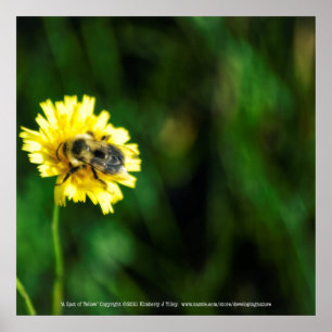 A Spot of Yellow Poster