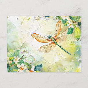 A Spring Dragonfly Postcard