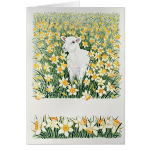 A Spring in the Step