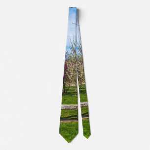 A Spring Season Seat Neck Tie