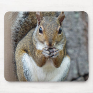 A Squirrel Enjoying a Treat Mouse Pad
