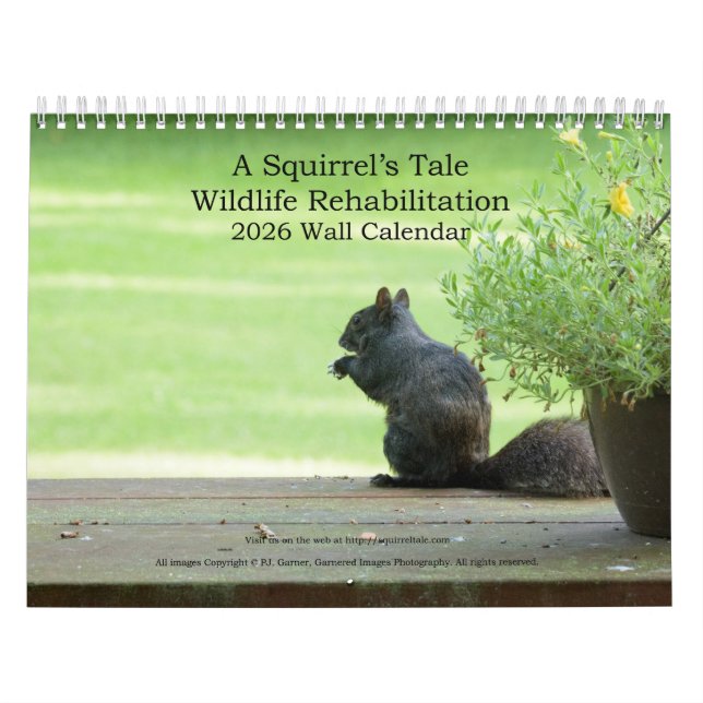 A Squirrel's Tale 2026 Wall Calendar (Cover)
