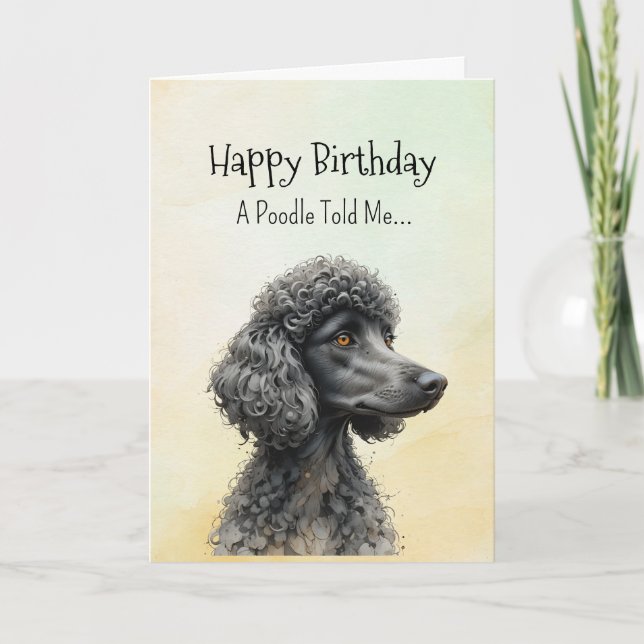 A Standard Poodle  Personality Birthday Fun Animal Card (Front)