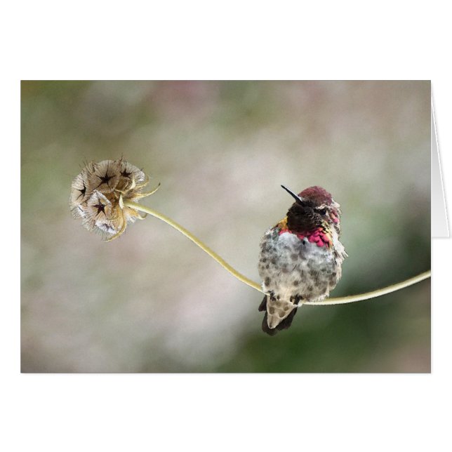 a star was born (Front Horizontal)