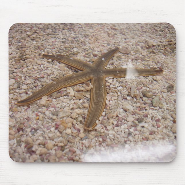 A Starfish Mouse Mat (Front)