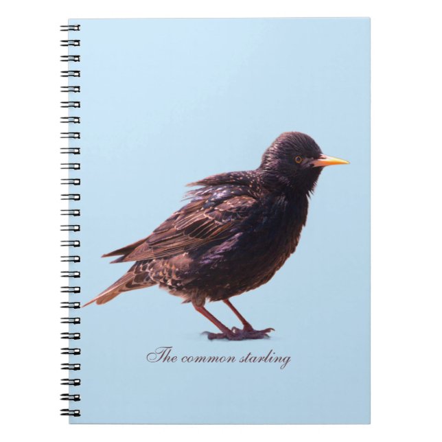 A starling  notebook (Front)