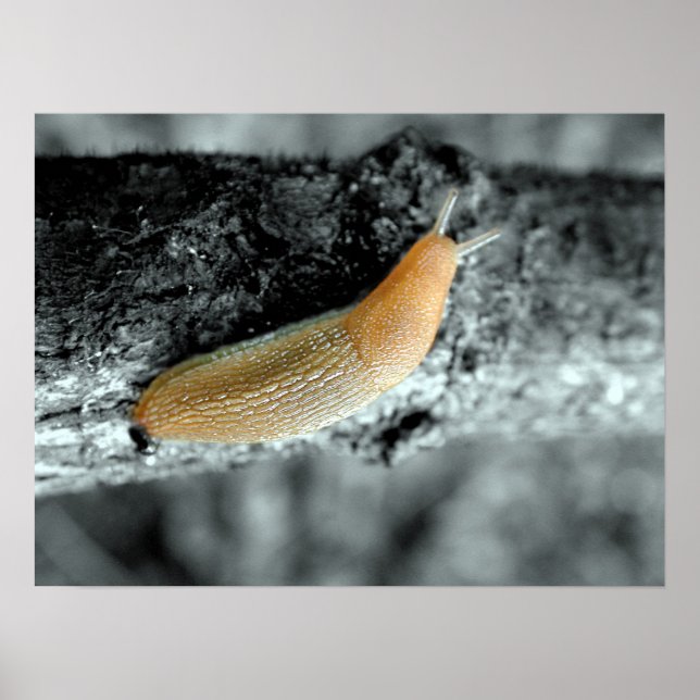 A Sticky Situation Poster (Front)