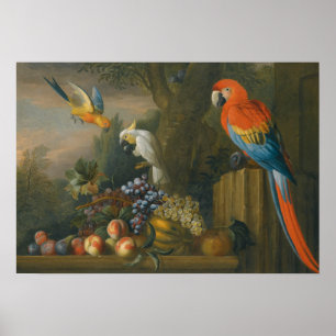 A Still Life With Fruit, Parrots And a Cockatoo Poster