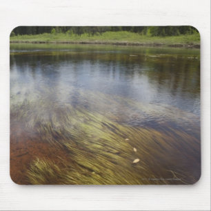 A Still Pond Reflecting The Clouds Mouse Pad