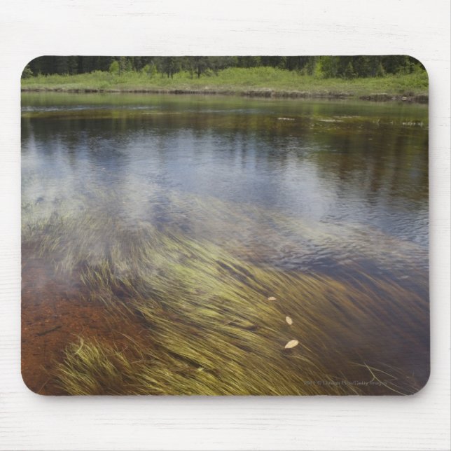 A Still Pond Reflecting The Clouds Mouse Pad (Front)