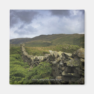 A Stone Fence Through Fields Magnet
