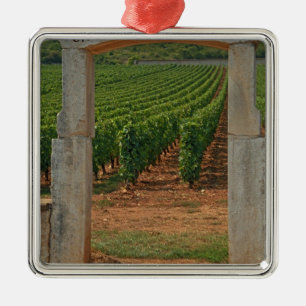 A stone portico to the vineyard metal tree decoration