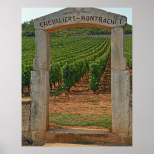 A stone portico to the vineyard poster
