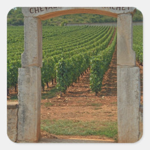A stone portico to the vineyard square sticker