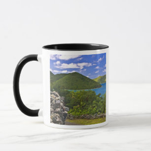 A stop at the Annaberg Sugar Mill, St. John Mug