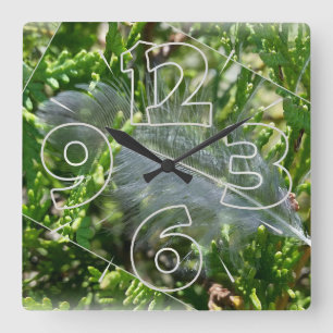 A stray feather square wall clock
