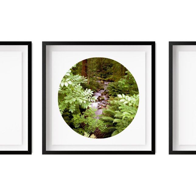 A Stream in a Forest of Ferns Photography Poster (Creator Uploaded)