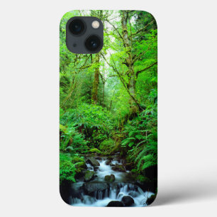 A stream in an old-growth forest iPhone 13 case