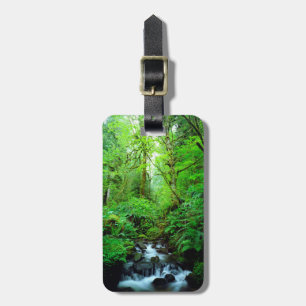 A stream in an old-growth forest luggage tag