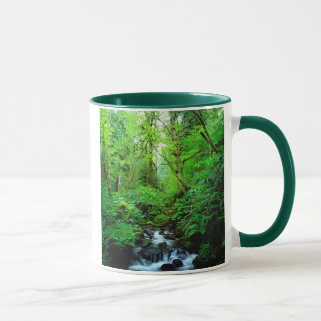 A stream in an old-growth forest mug (Right)