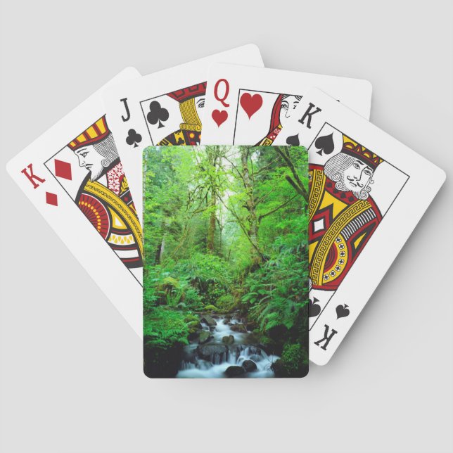 A stream in an old-growth forest playing cards (Back)