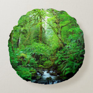 A stream in an old-growth forest round cushion