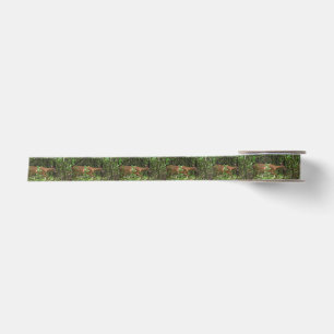 A Stroll Through the Woods Satin Ribbon
