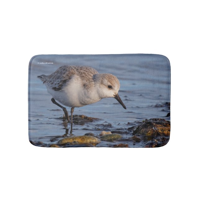 A Strolling Sanderling Bath Mat (Front)