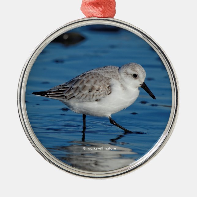A Strolling Sanderling Sandpiper on the Beach Metal Tree Decoration (Front)