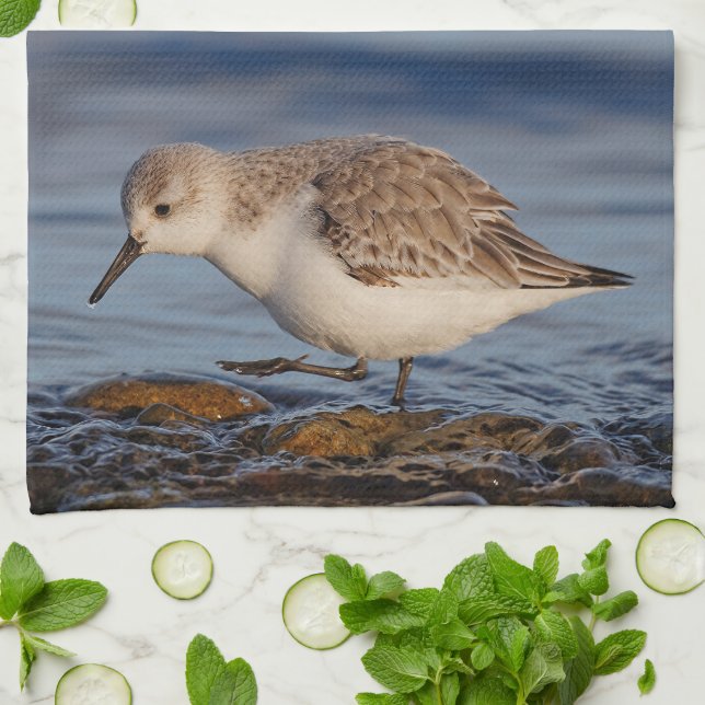 A Strolling Sanderling Tea Towel (Folded)