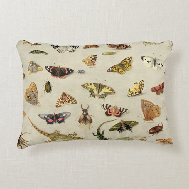 A Study of insects Decorative Cushion (Front)