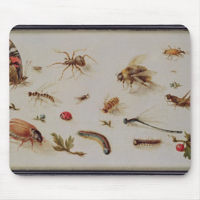 A Study of Insects Mouse Pad (Front)