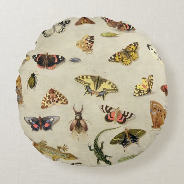 A Study of insects Round Cushion (Front)