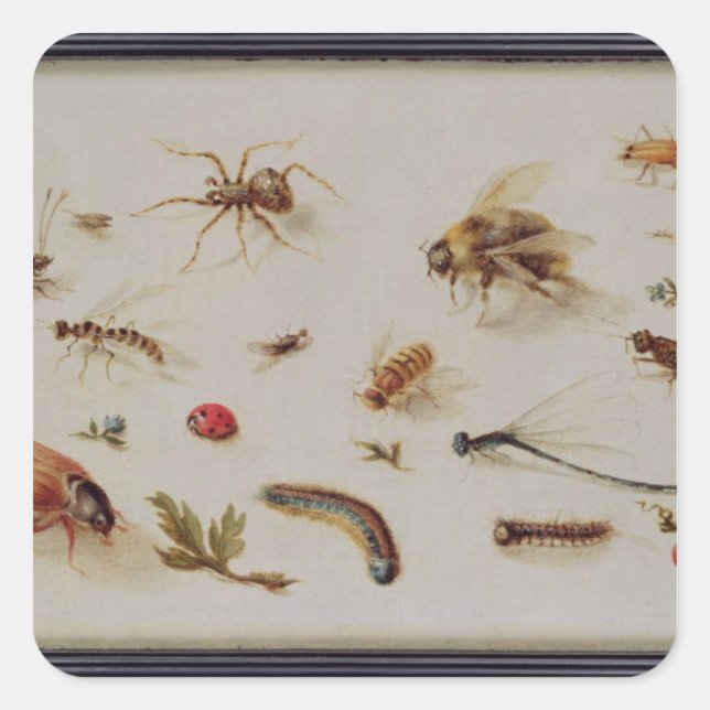 A Study of Insects Square Sticker (Front)