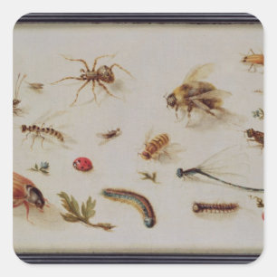 A Study of Insects Square Sticker