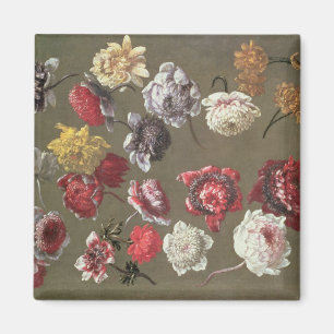 A Study of Peonies (oil on canvas) Magnet
