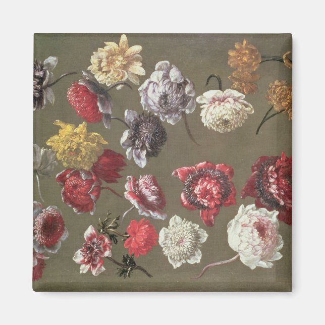 A Study of Peonies (oil on canvas) Magnet (Front)