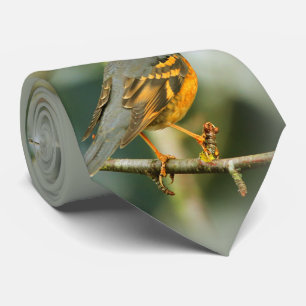 A Stunned But Safe Beautiful Varied Thrush Tie