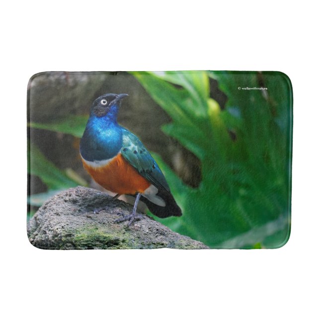 A Stunning African Superb Starling Bath Mat (Front)