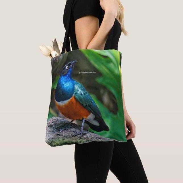 A Stunning African Superb Starling Songbird Tote Bag (Close Up)