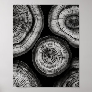 A Stunning Black and White Tree Ring Art Print