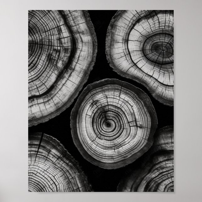 A Stunning Black and White Tree Ring Art Print (Front)