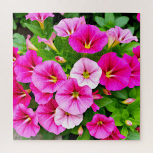 A stunning cluster of pink petunias.  jigsaw puzzle